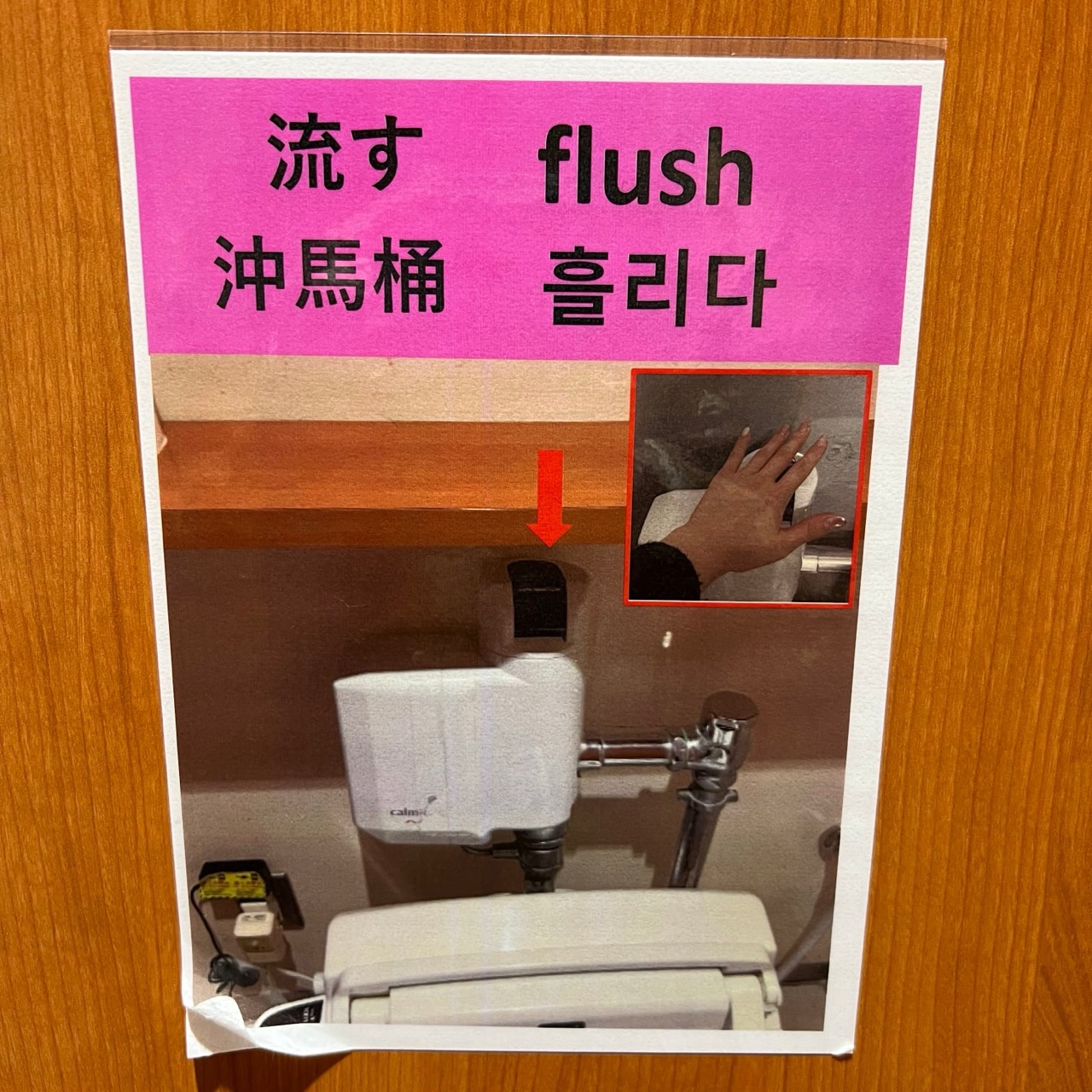 Map to the flush button
