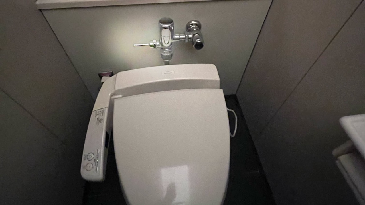 Handle mounted on the piping