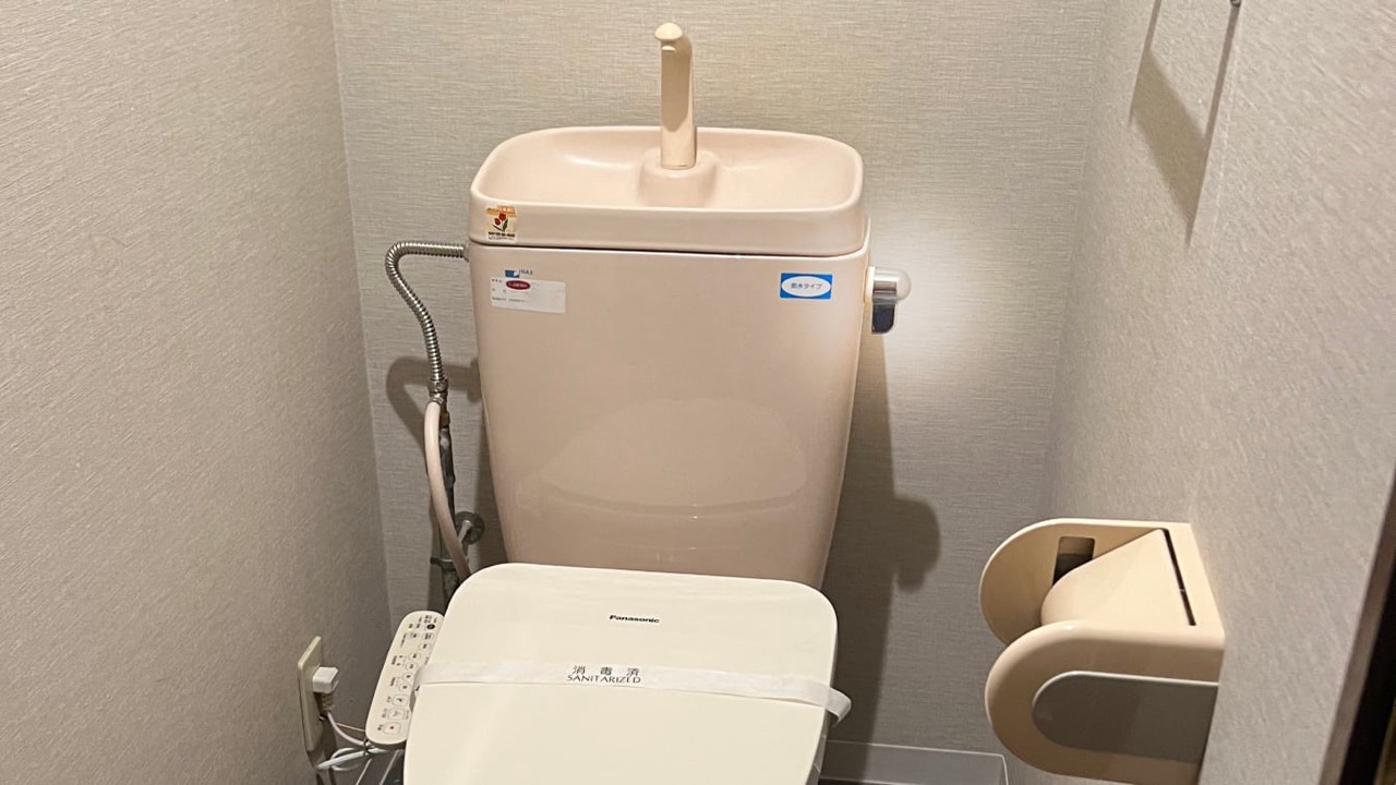 Flush handle mounted on the side of the tank lid