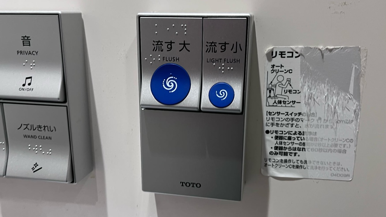 Separate physical flush buttons