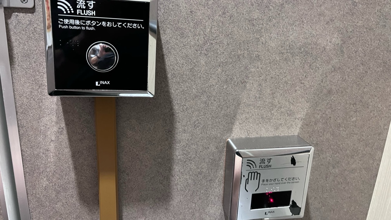 Separate physical and motion-activated flush buttons