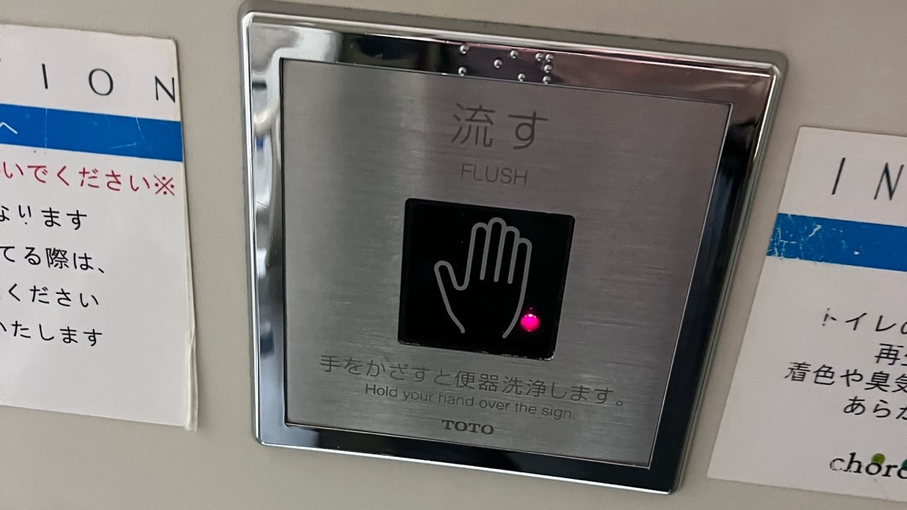 Motion-activated flush